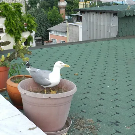 Ξενοδοχείο Berk - Grandma's House 3*