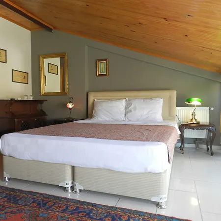 Hotel Berk - Grandma's House