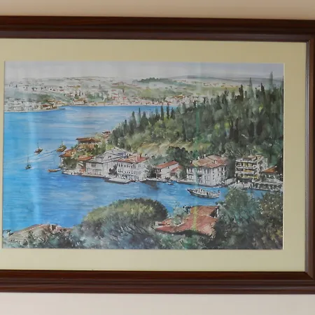 Berk - Grandma's House